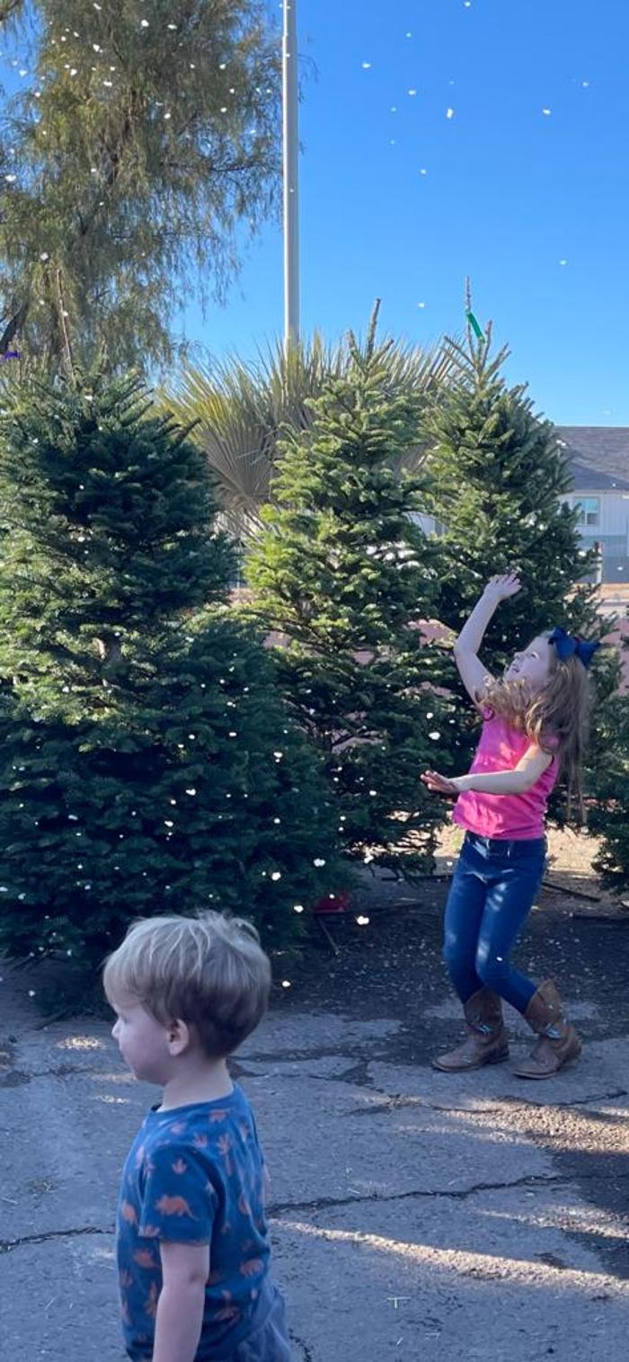 The Christmas Tree Lot at Moon Valley Nurseries - Surprise Image