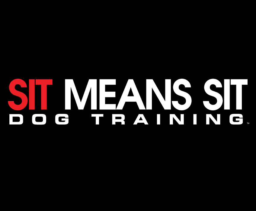 Sit Means Sit Dog Training Orlando