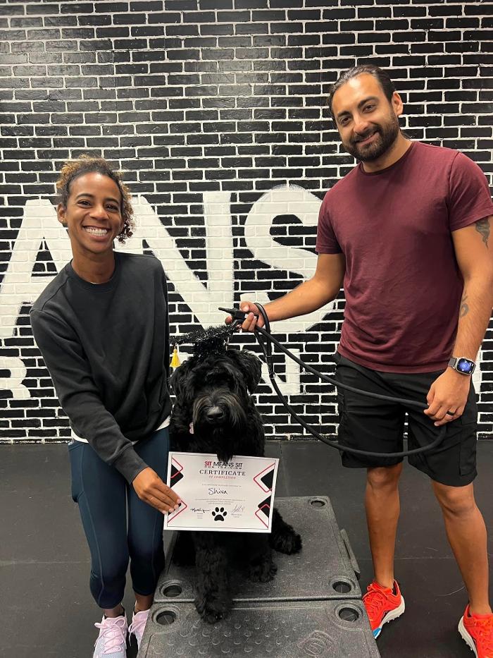 Sit Means Sit Dog Training Orlando