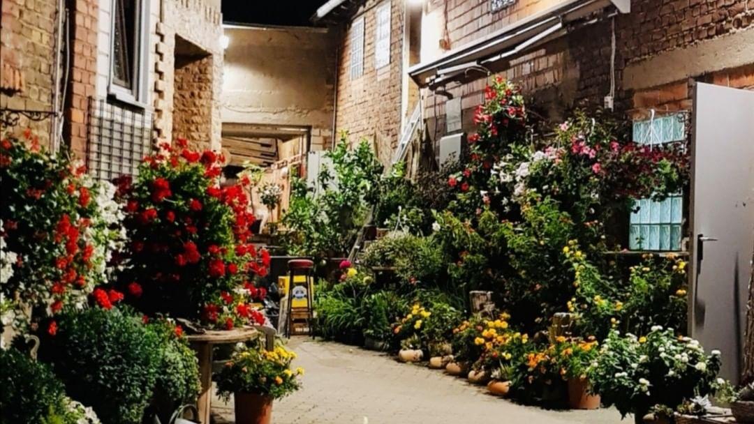 Blumen Scherer Inh. Anja Jungerberg, Gartenstraße in Schwalbach am Taunus