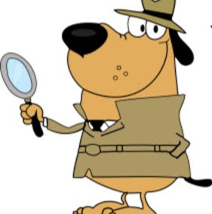 Hound Dog Home Inspections - Melbourne, FL