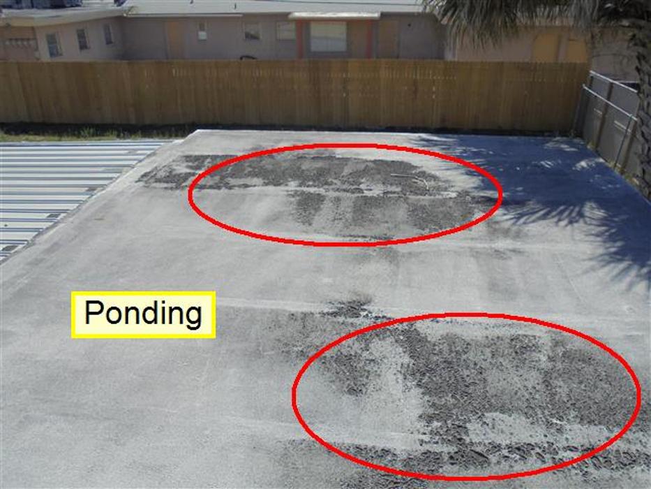 Hound Dog Home Inspections - Melbourne, FL