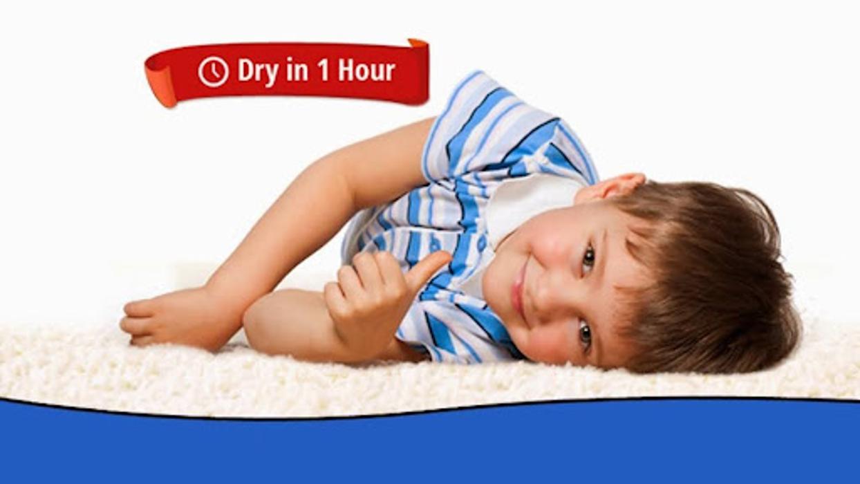Heaven's Best Carpet Cleaning of St. Petersburg