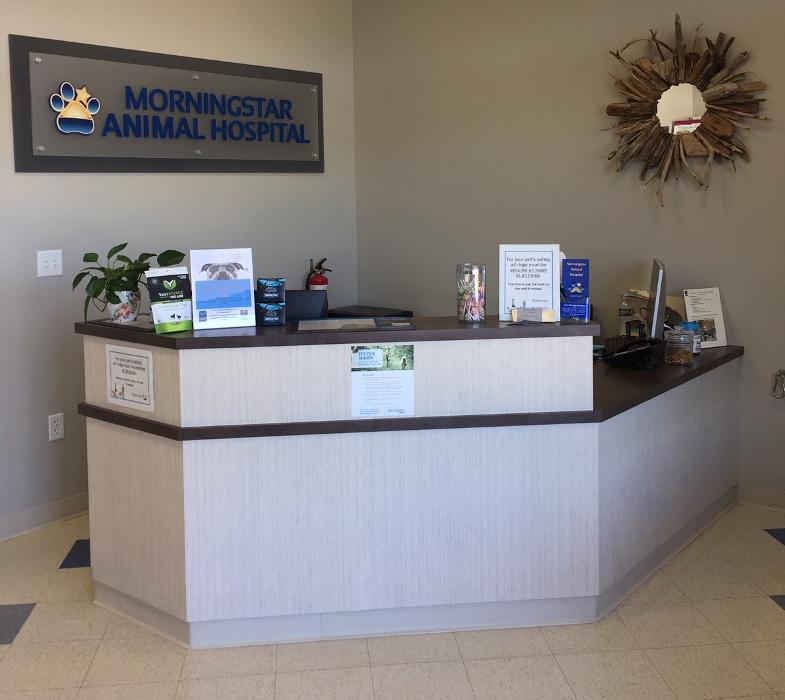 Morningstar Animal Hospital