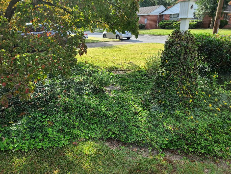 Gifted Handz Landscaping And More LLC