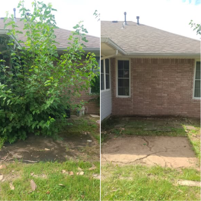 Before-and-after outdoor cleanup with overgrown brush and debris cleared from the side of a home.