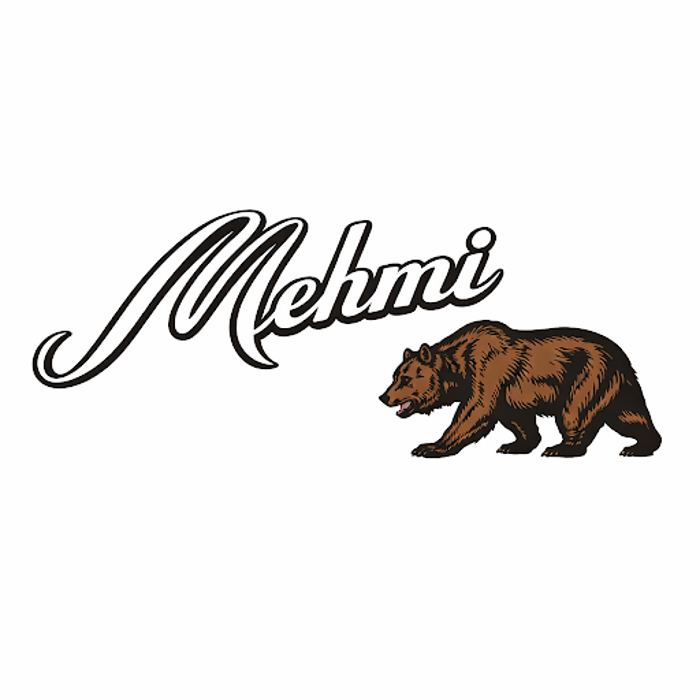 Mehmi Financial Group - Award Winning Equipment Finance Company in Canada