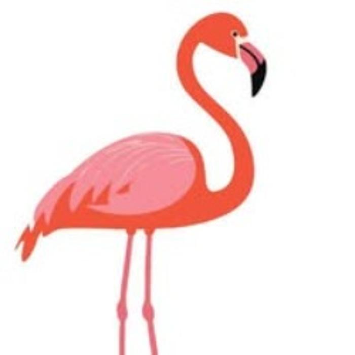 Flamingo Rides