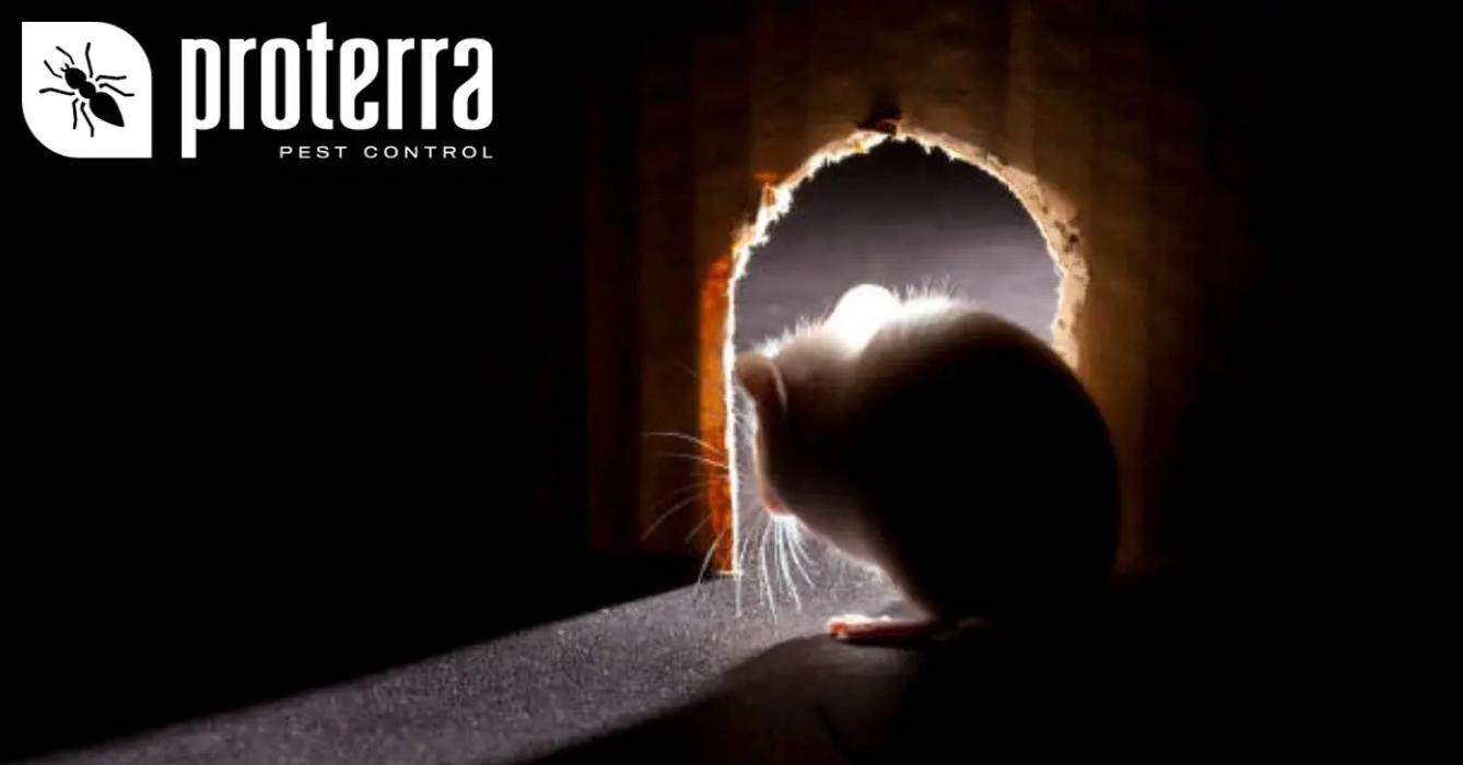 Proterra Pest Control - Kennewick, WA
