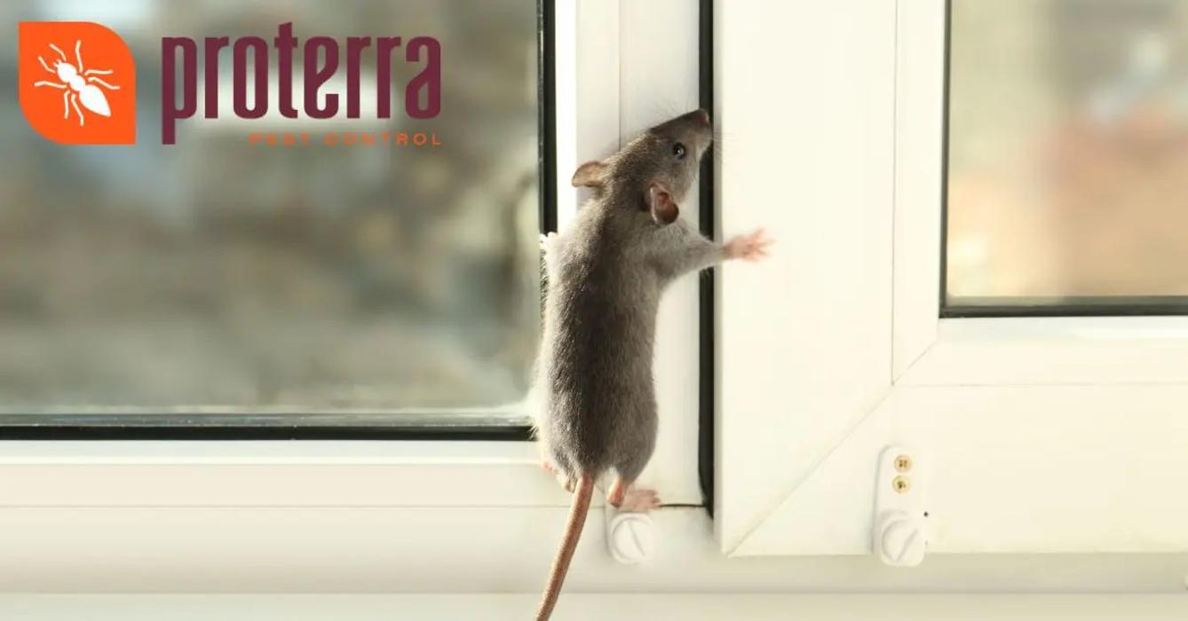 Proterra Pest Control - Kennewick, WA