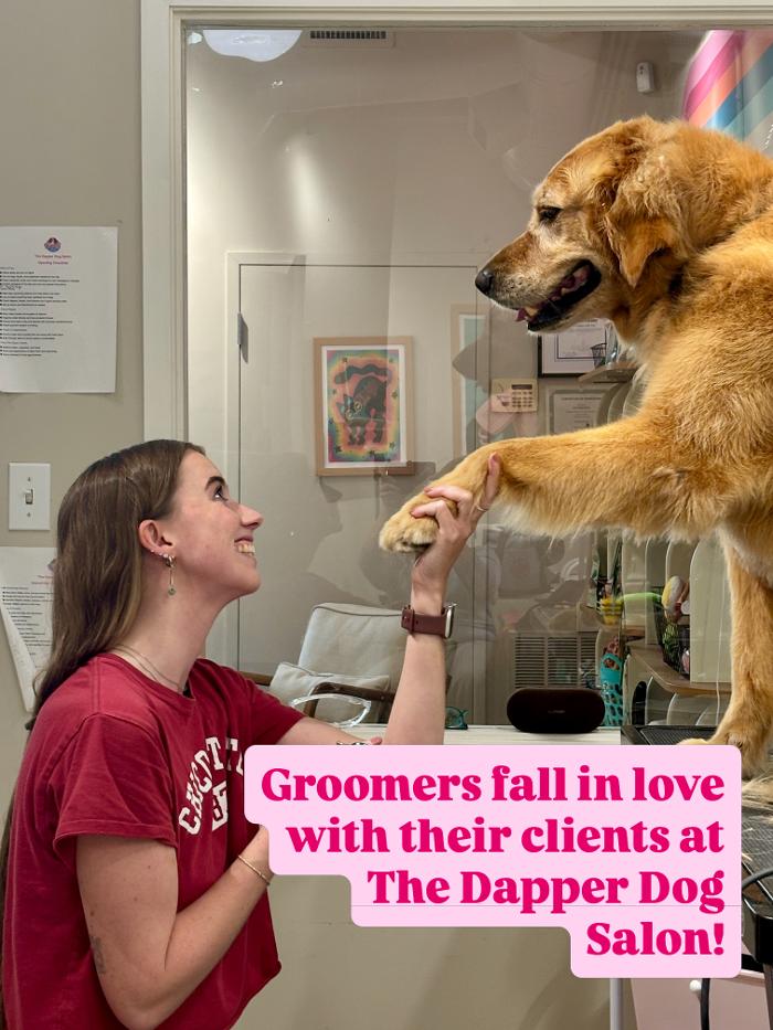 The Dapper Dog Salon LLC