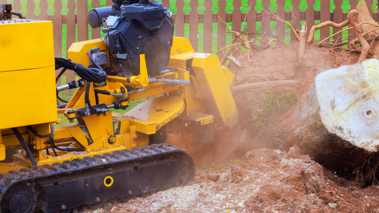Redmond Tree Service Elite