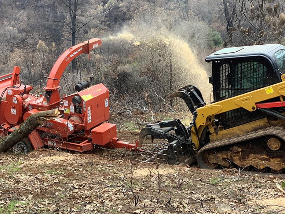1st Choice R & R Tree Service Image