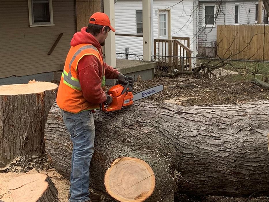1st Choice R & R Tree Service Image