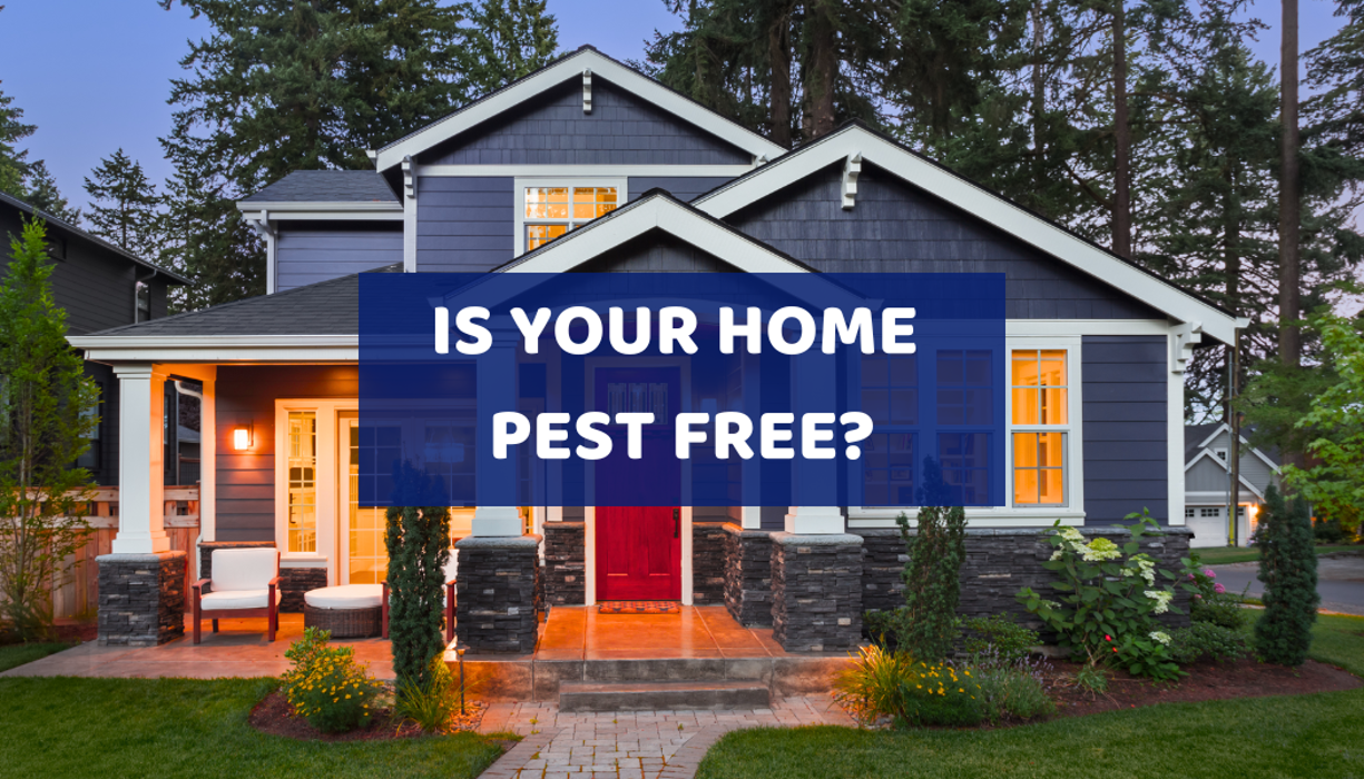 Rest Easy Pest Control