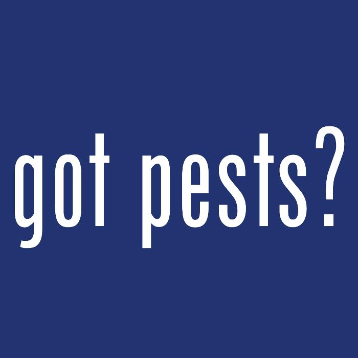 The Bug Stops Here
