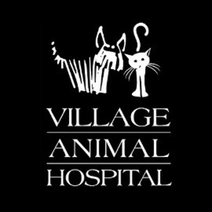 Village Animal Hospital