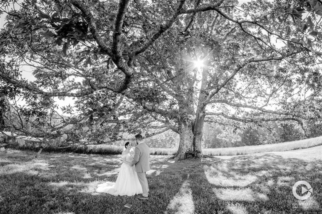 Complete Weddings + Events Image