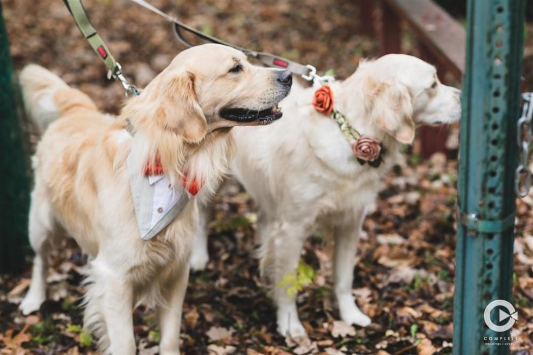Complete Weddings + Events Image