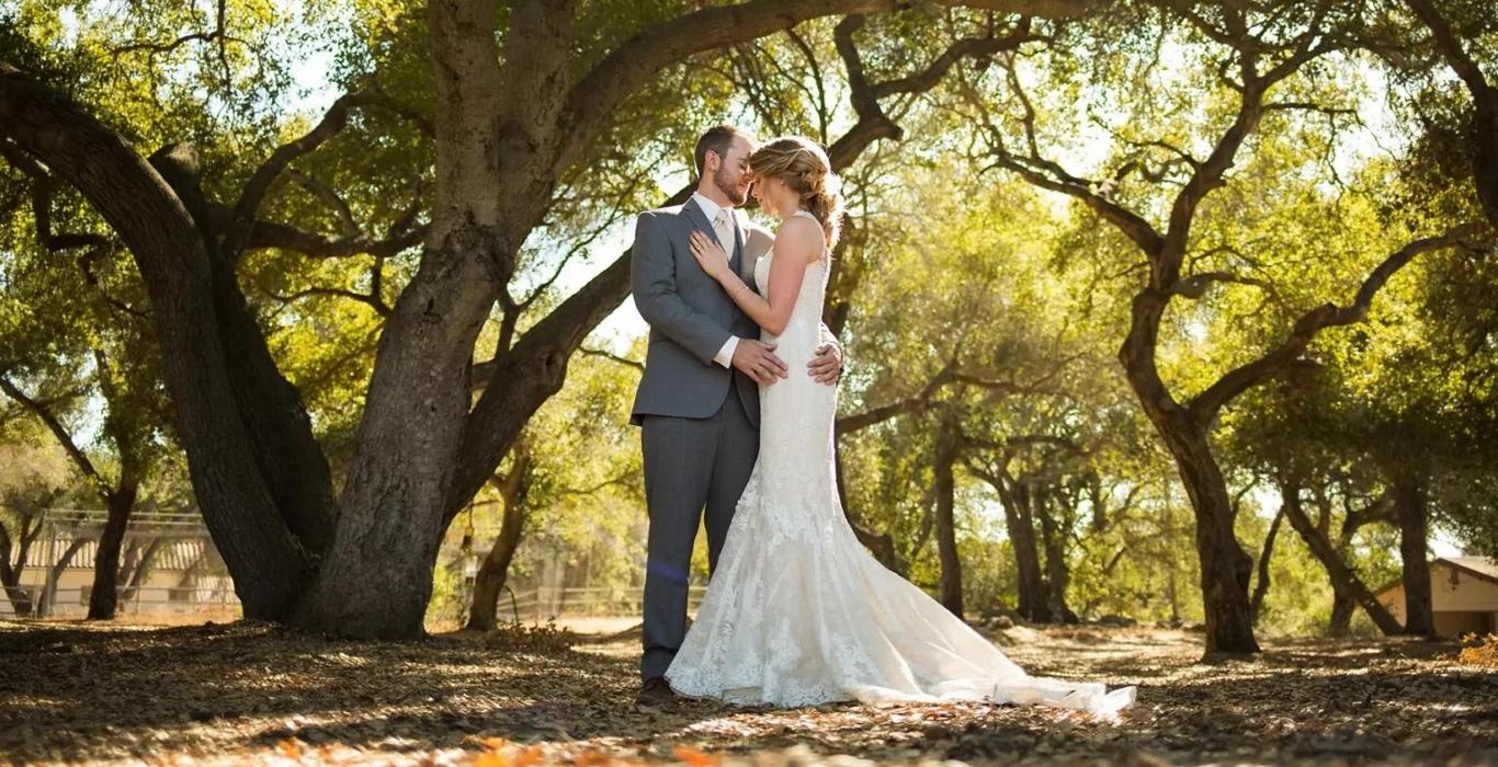Complete Weddings + Events Image
