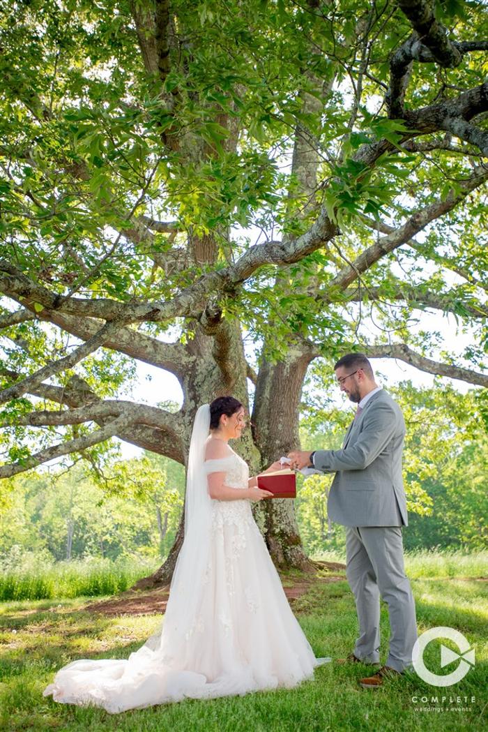 Complete Weddings + Events Image