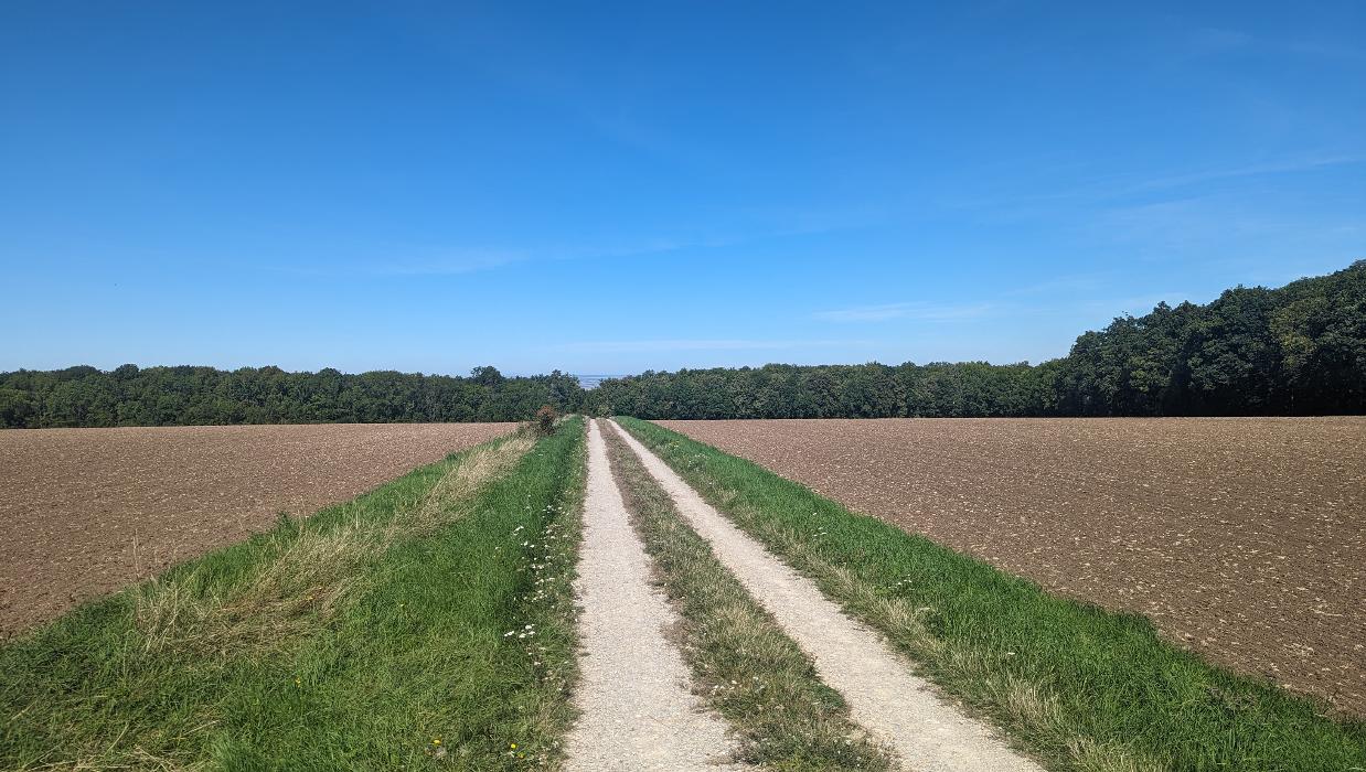 FriedWald Fahner Höhe, Töttelstädter Straße in Bienstädt