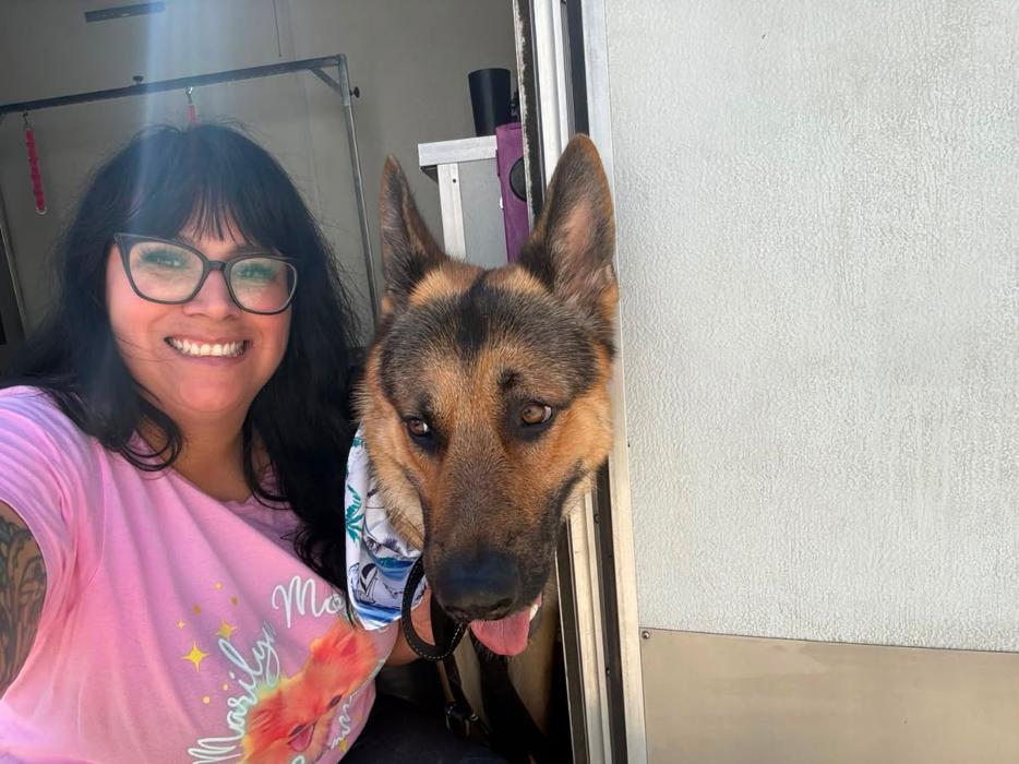 Starburst Spa Mobile Pet Grooming