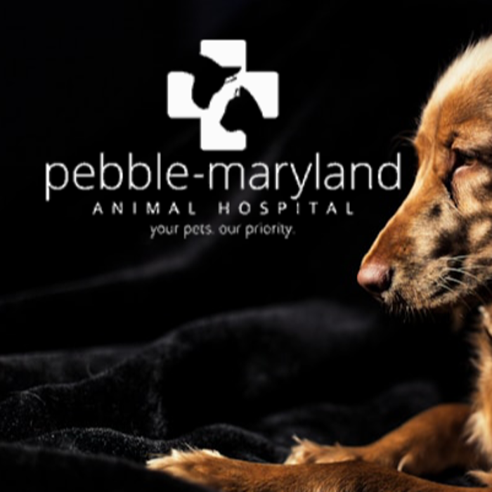 Pebble Maryland Animal Hospital