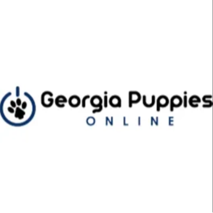Georgia Puppies Online