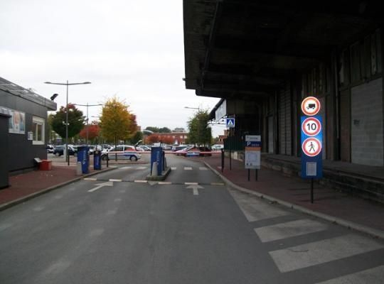 Miniature de la galerie