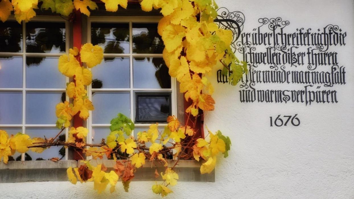 Wirtschaft zur Burg, Auf der Burg in Meilen