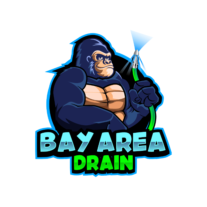 Bay Area Drain LLC