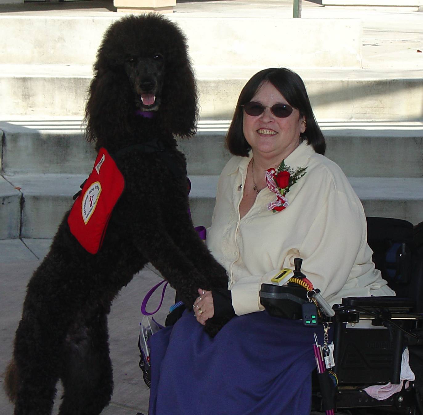 Leashes For Living Assistance Dog School