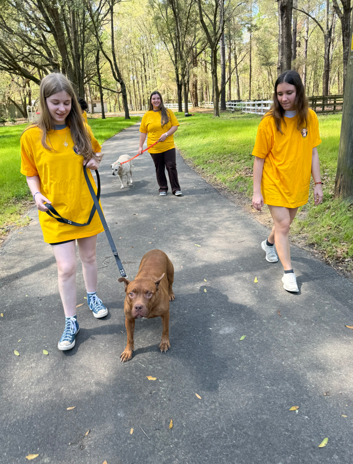 Yella Dawg Farms