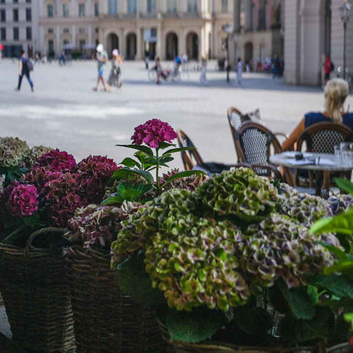 Café Franz – Frühstück & Lunch in Potsdam