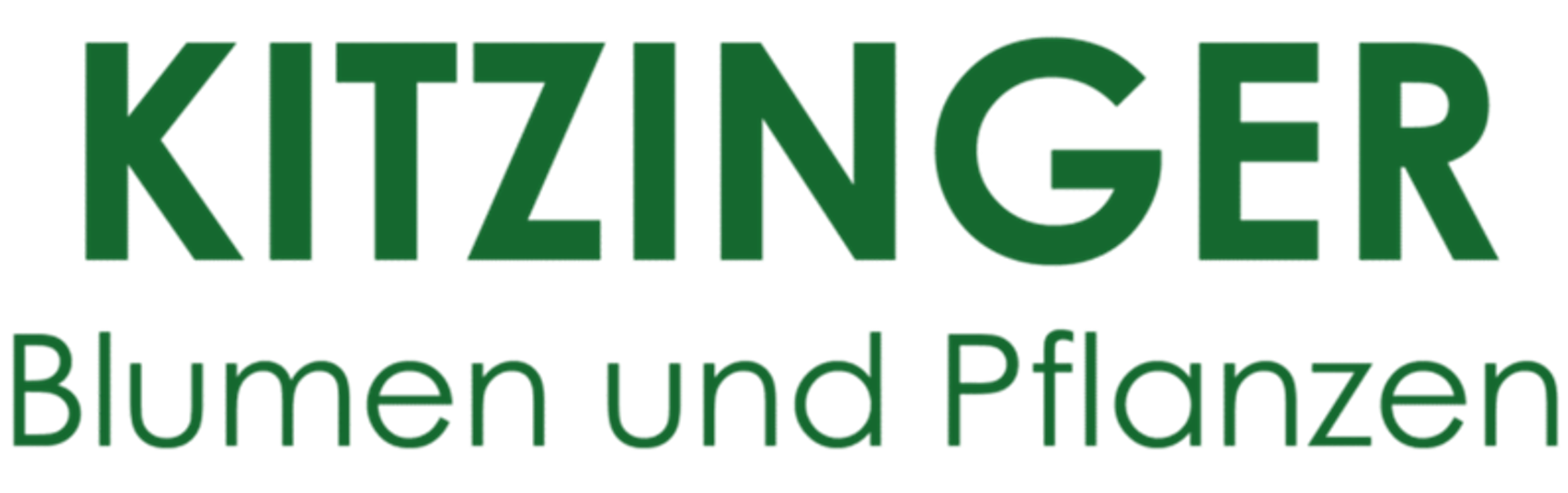 Kitzinger Blumen und Pflanzen