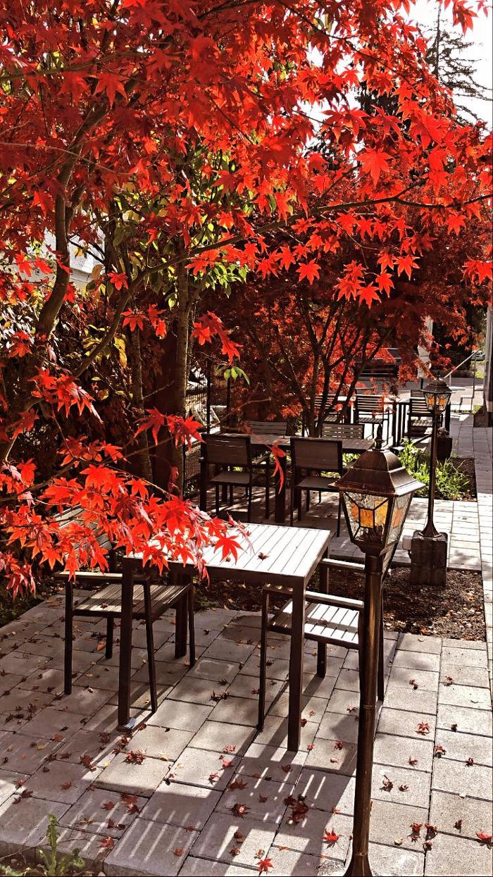 Restaurant Züribeck - Gutbürgerliche Küche, Pfistergasse in Reinach