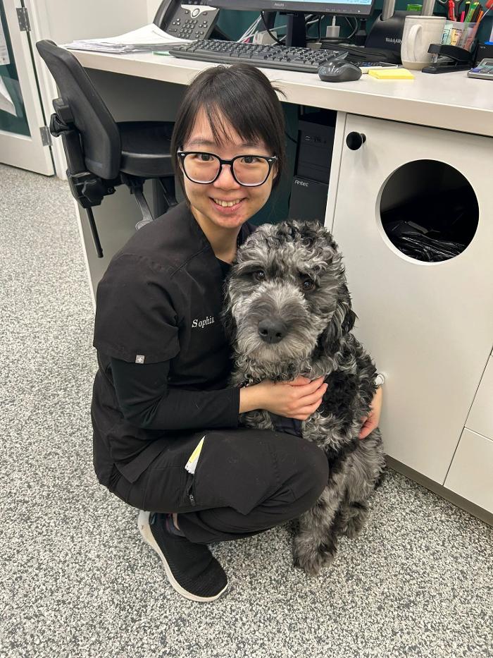 Black Mountain Veterinary Hospital