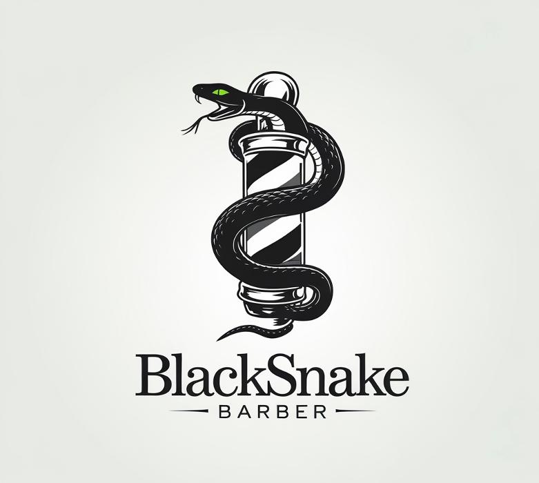BlackSnake Barber, LLC