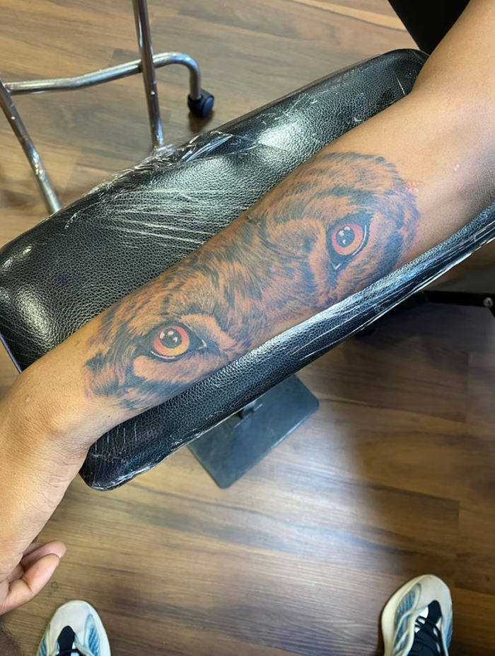 Ink Addiction Tattoo and Piercing gallery