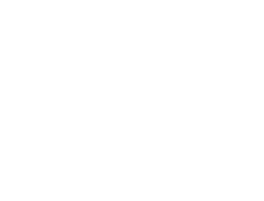 SilvaLuxe Experiences