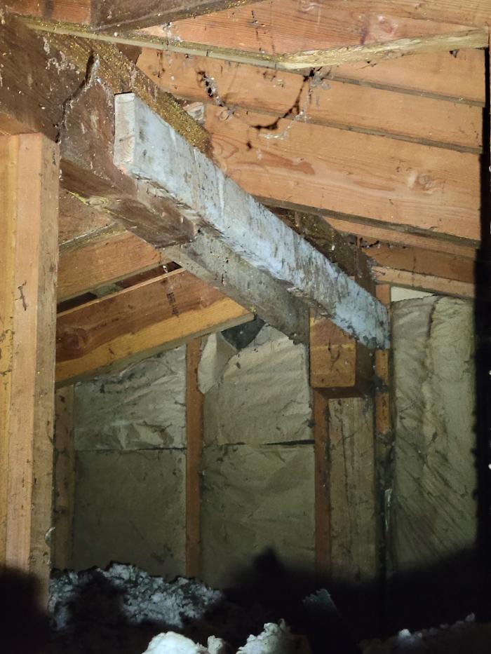 Key Inspection Services, LLC - Lynnwood, WA