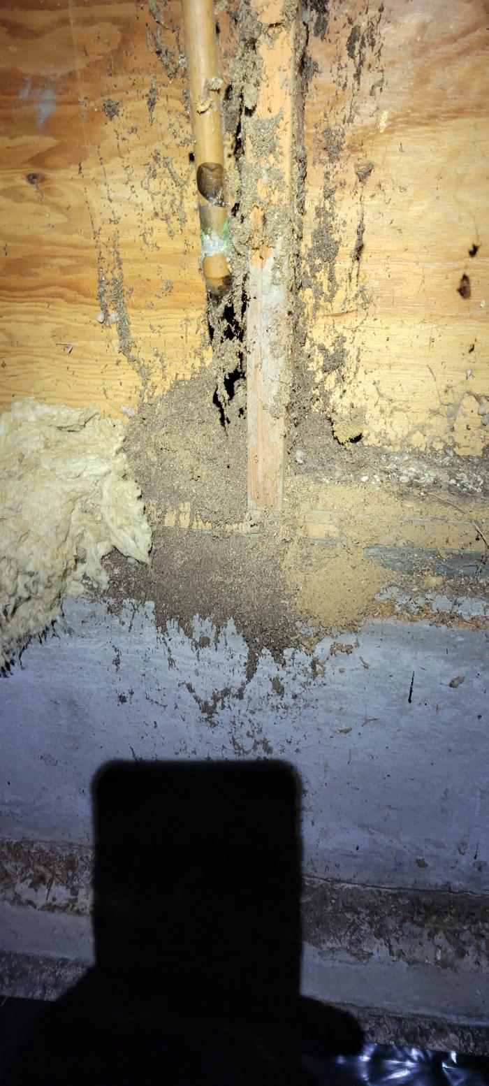 Key Inspection Services, LLC - Lynnwood, WA