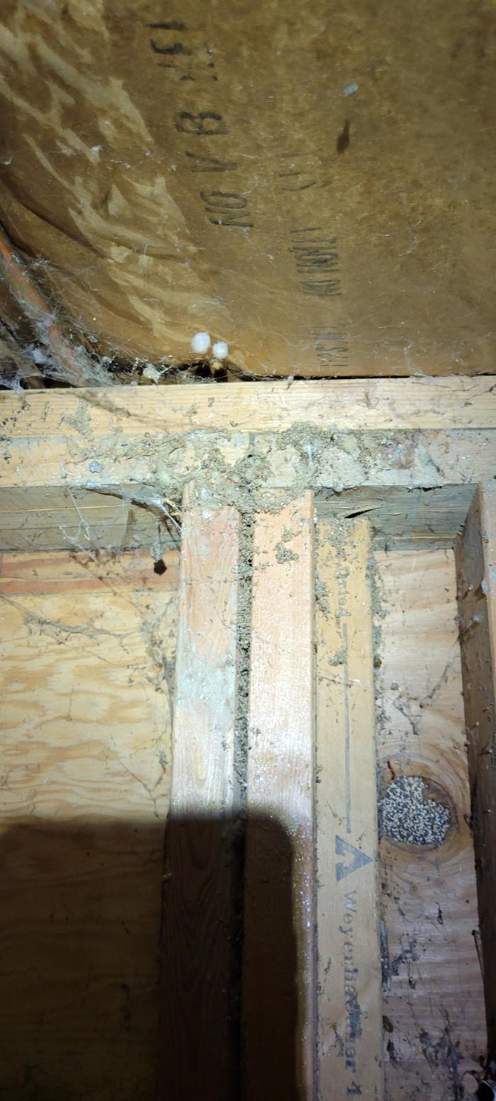 Key Inspection Services, LLC - Lynnwood, WA