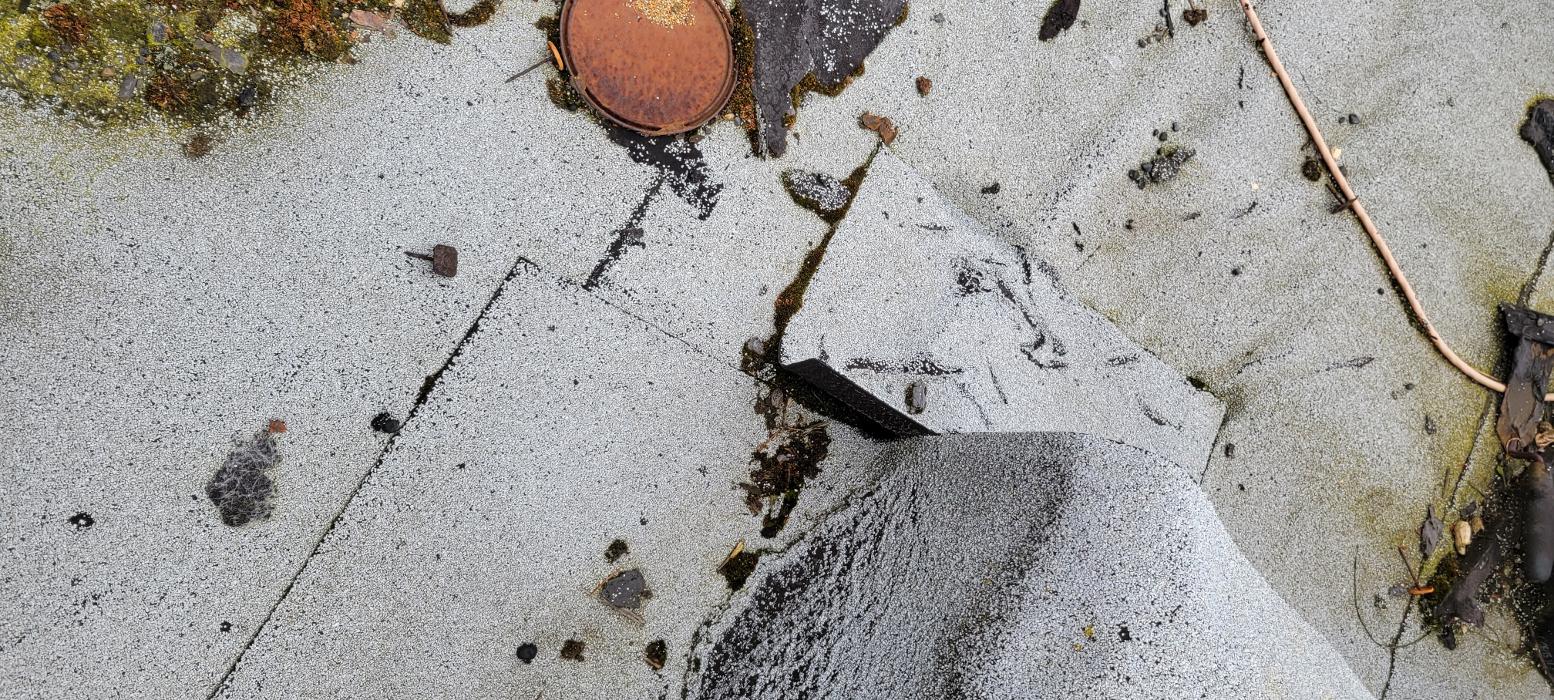 Key Inspection Services, LLC - Lynnwood, WA