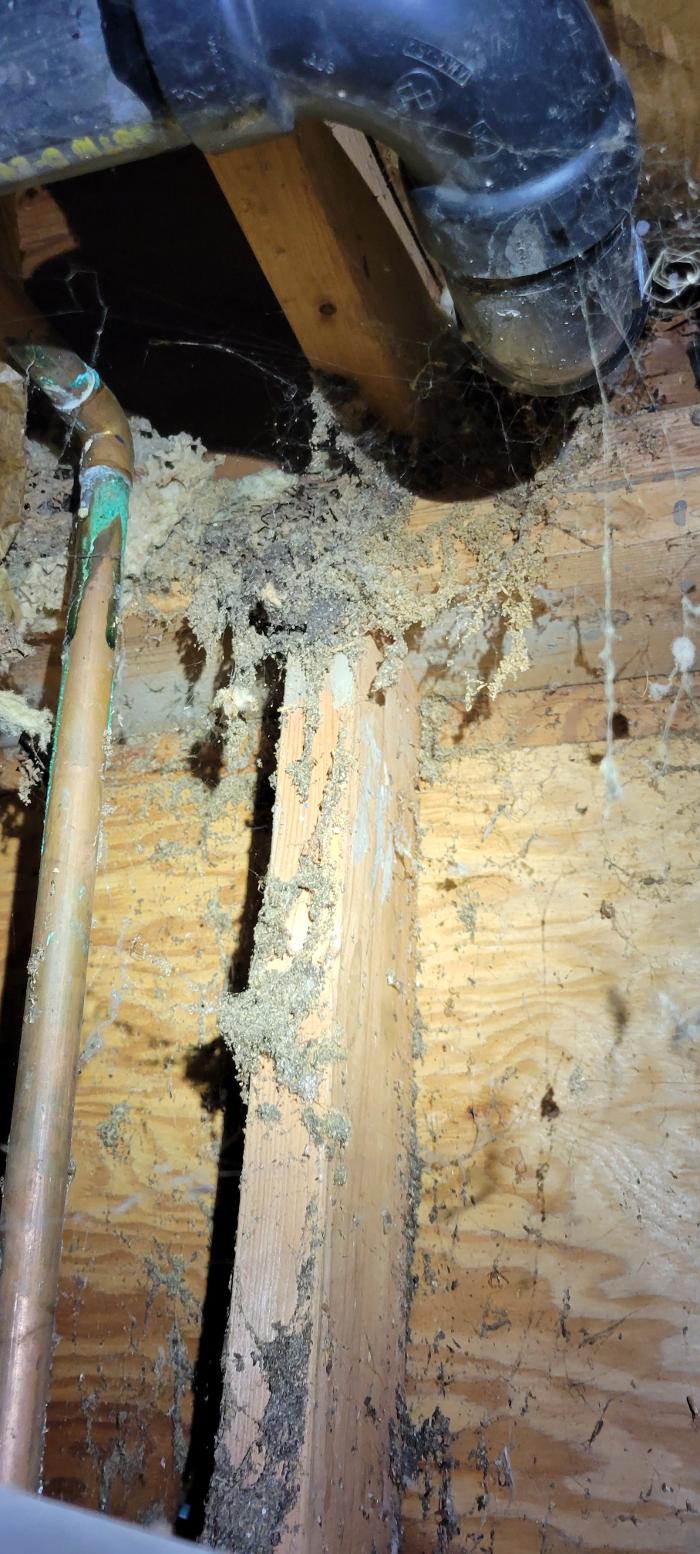 Key Inspection Services, LLC - Lynnwood, WA