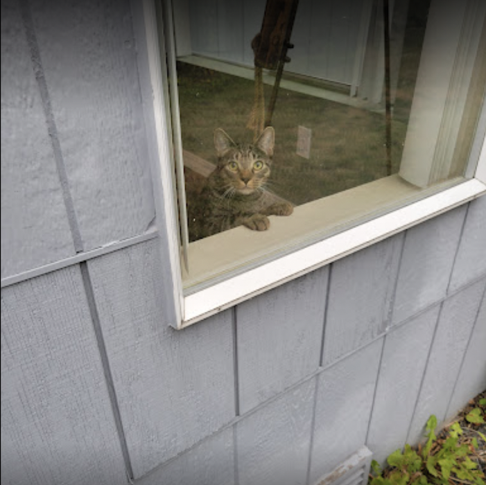 Key Inspection Services, LLC - Lynnwood, WA