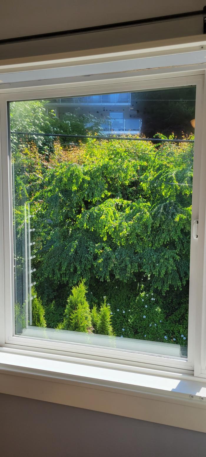 Key Inspection Services, LLC - Lynnwood, WA
