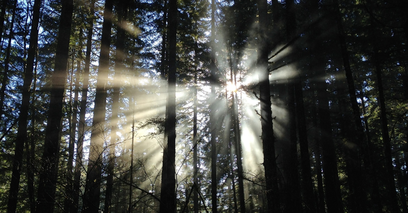 Creative Healing Mental Health Center Image