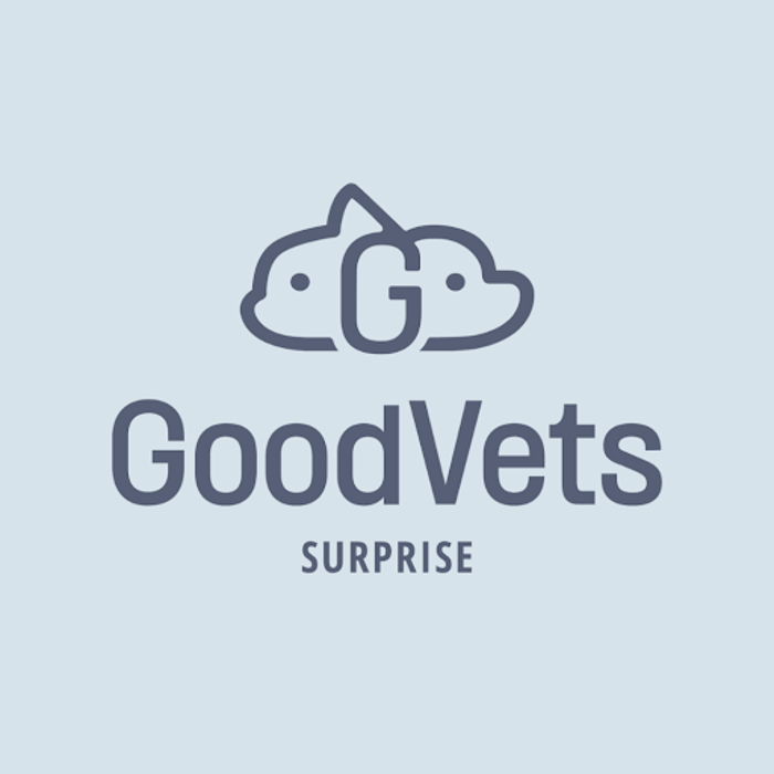 GoodVets Surprise